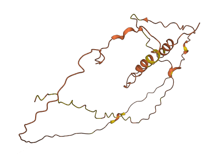 PRR26 3D structure