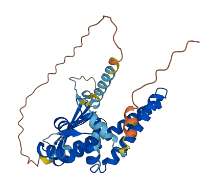NECAB1 3D structure