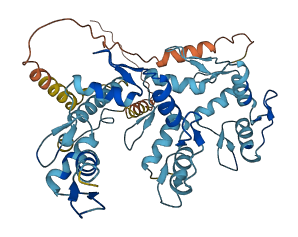 ZNF557 3D structure