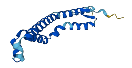 CNEP1R1 3D structure