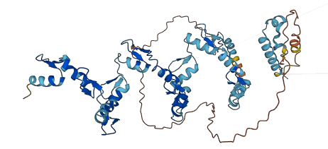 ZNF454 3D structure