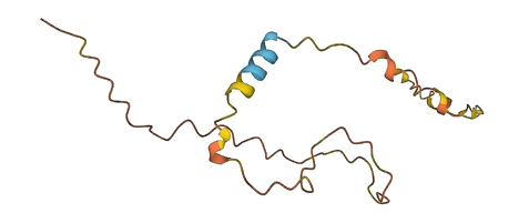 C8orf31 3D structure