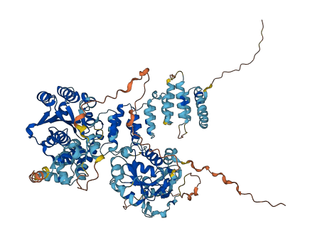 EXD3 3D structure