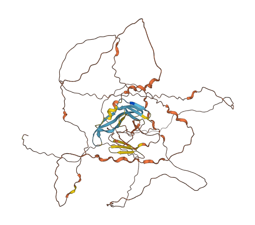 C1orf127 3D structure