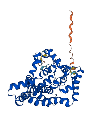 FADS6 3D structure