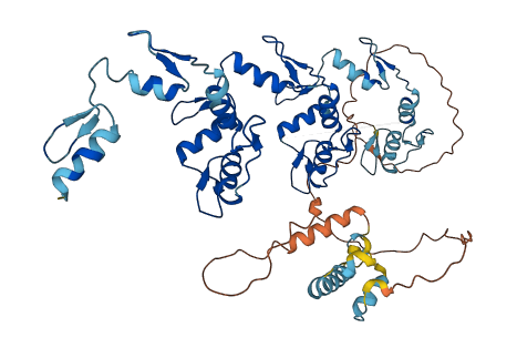 ZNF565 3D structure
