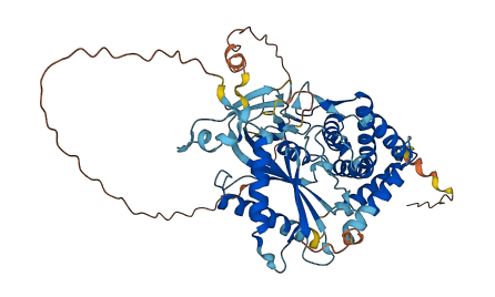 TMEM102 3D structure