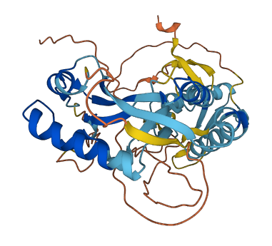 ASCC1 3D structure