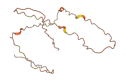 LINC00304 3D structure
