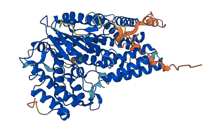 SCAI 3D structure