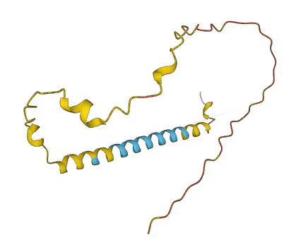 NKAPP1 3D structure