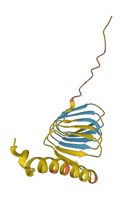 SPANXA2-OT1 3D structure