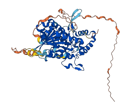 DNAAF3 3D structure