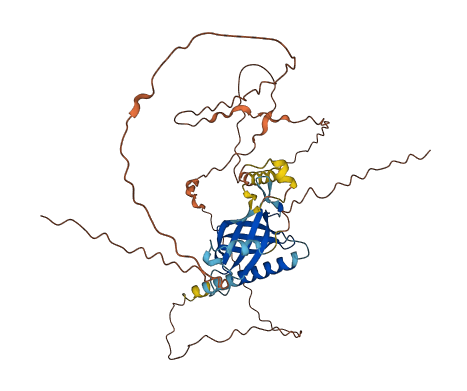 FAM71D 3D structure