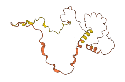 LINC01356 3D structure