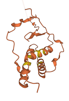 TMEM75 3D structure
