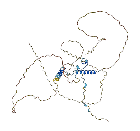 FAM181A 3D structure