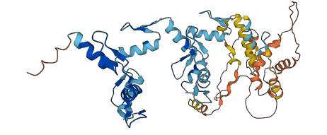 ZNF610 3D structure