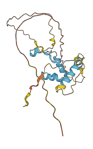 CCDC71L 3D structure