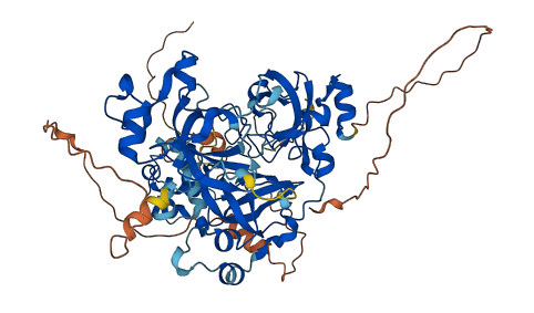 L3MBTL4 3D structure