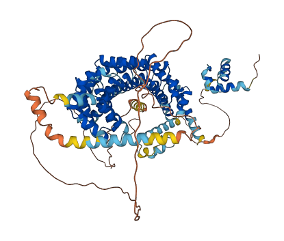 TERB1 3D structure
