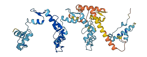 ZNF383 3D structure