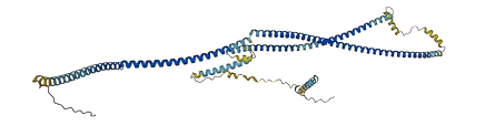 CCDC63 3D structure