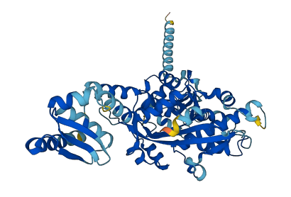 PNLDC1 3D structure