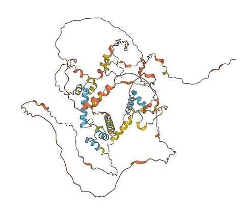 FAM47B 3D structure
