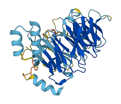 DCAF4L2 3D structure