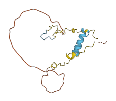 TEX19 3D structure