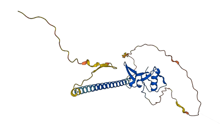THAP8 3D structure