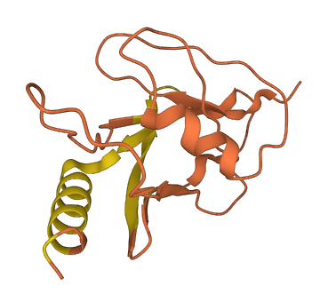 FER1L6-AS1 3D structure