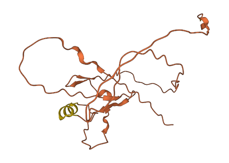 LINC02694 3D structure