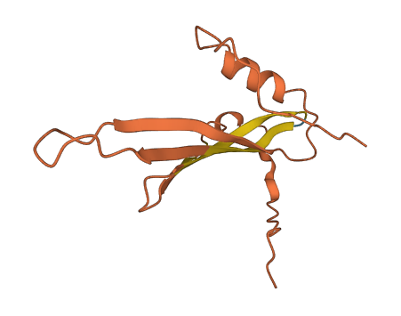 LINC01555 3D structure