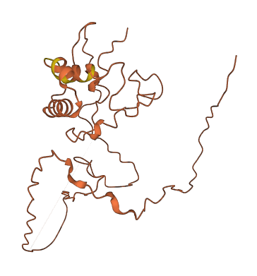 C9orf106 3D structure
