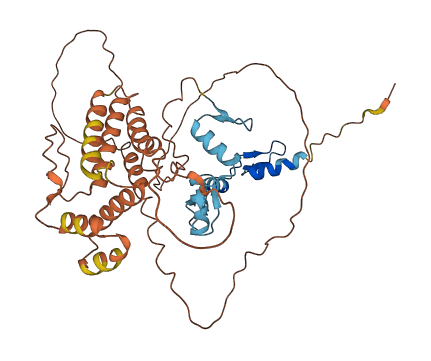ZSCAN4 3D structure
