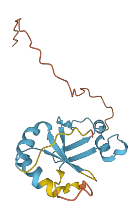 CASTOR3 3D structure