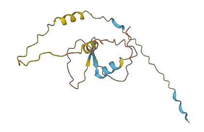 C5orf17 3D structure