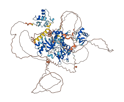 TDRD5 3D structure
