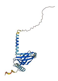FNDC5 3D structure