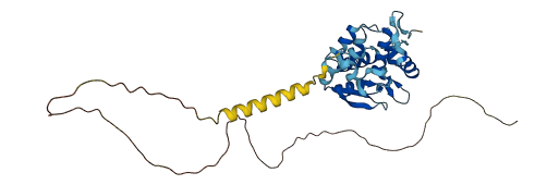 PRPF38A 3D structure