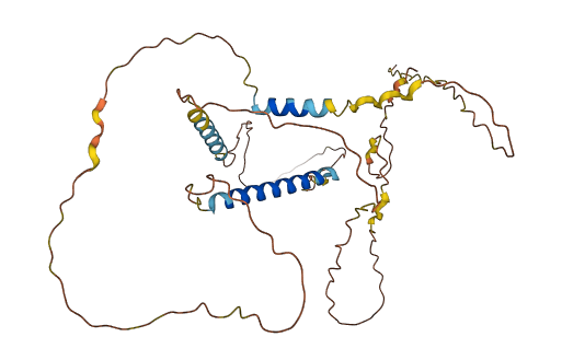 C8orf58 3D structure