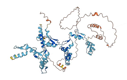 ZNF527 3D structure