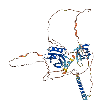 SYT14 3D structure