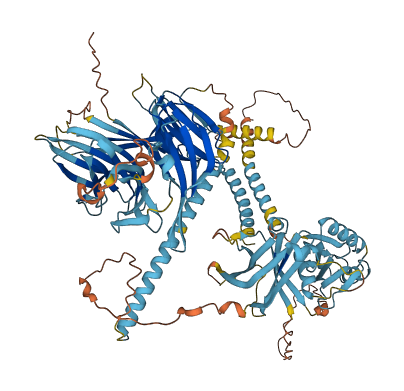 FANCB 3D structure