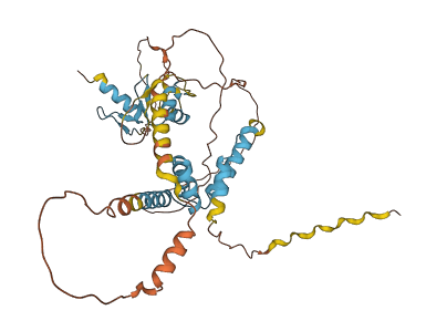 ZSCAN1 3D structure