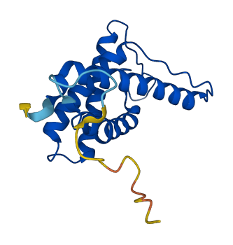 TMEM229B 3D structure