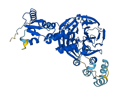 KLHL23 3D structure