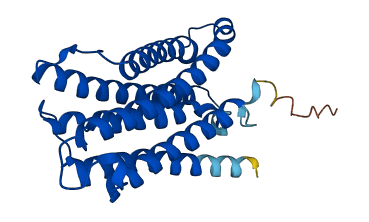 CYB561A3 3D structure